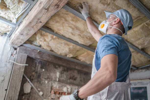 Best Insulation for Specific Applications in New Port Richey, FL